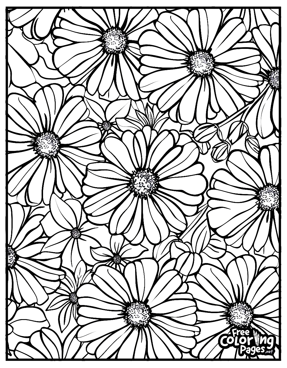 Flowers for Adults coloring pages for kids featuring a vibrant pattern of large daisies with intricate centers, perfect for a fun and engaging coloring activity available for free download