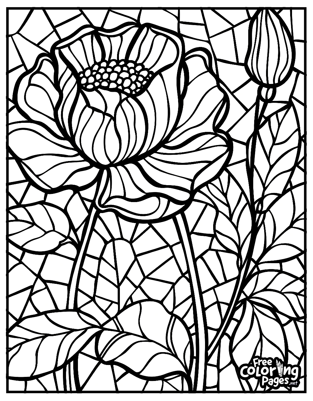 Flowers for Adults easy coloring pages presenting a single elegant flower with a stained glass background, suitable for both beginners and experienced colorists
