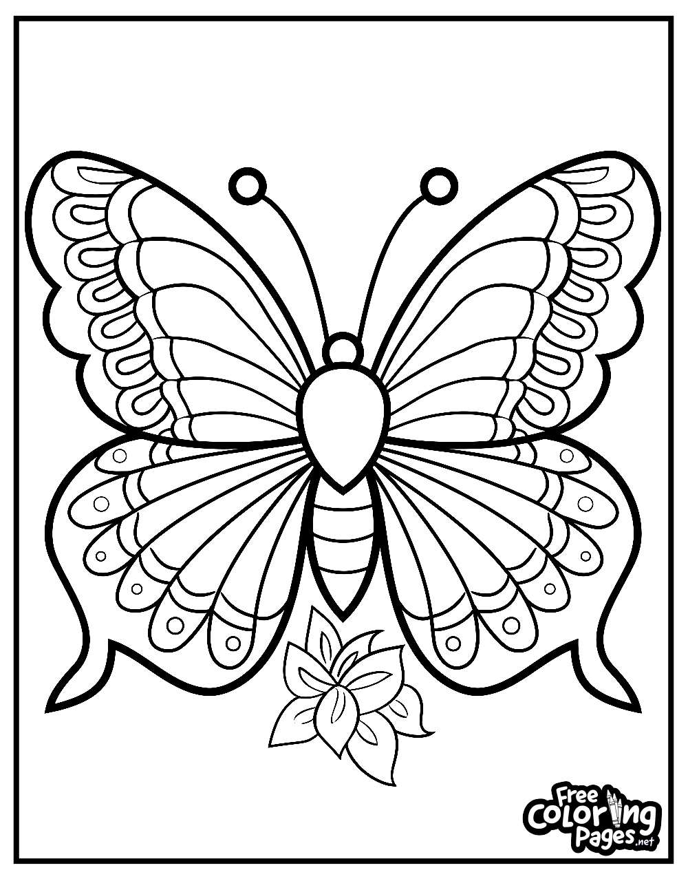 Butterfly coloring page for adults with a butterfly surrounded by flowers, emphasizing natural themes