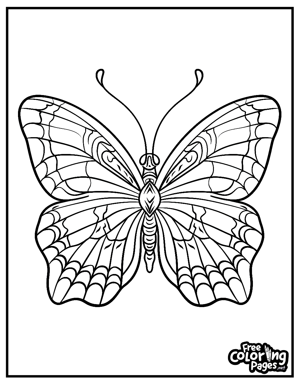 Realistic butterfly free printable coloring page, perfect for adults looking to engage in detailed coloring