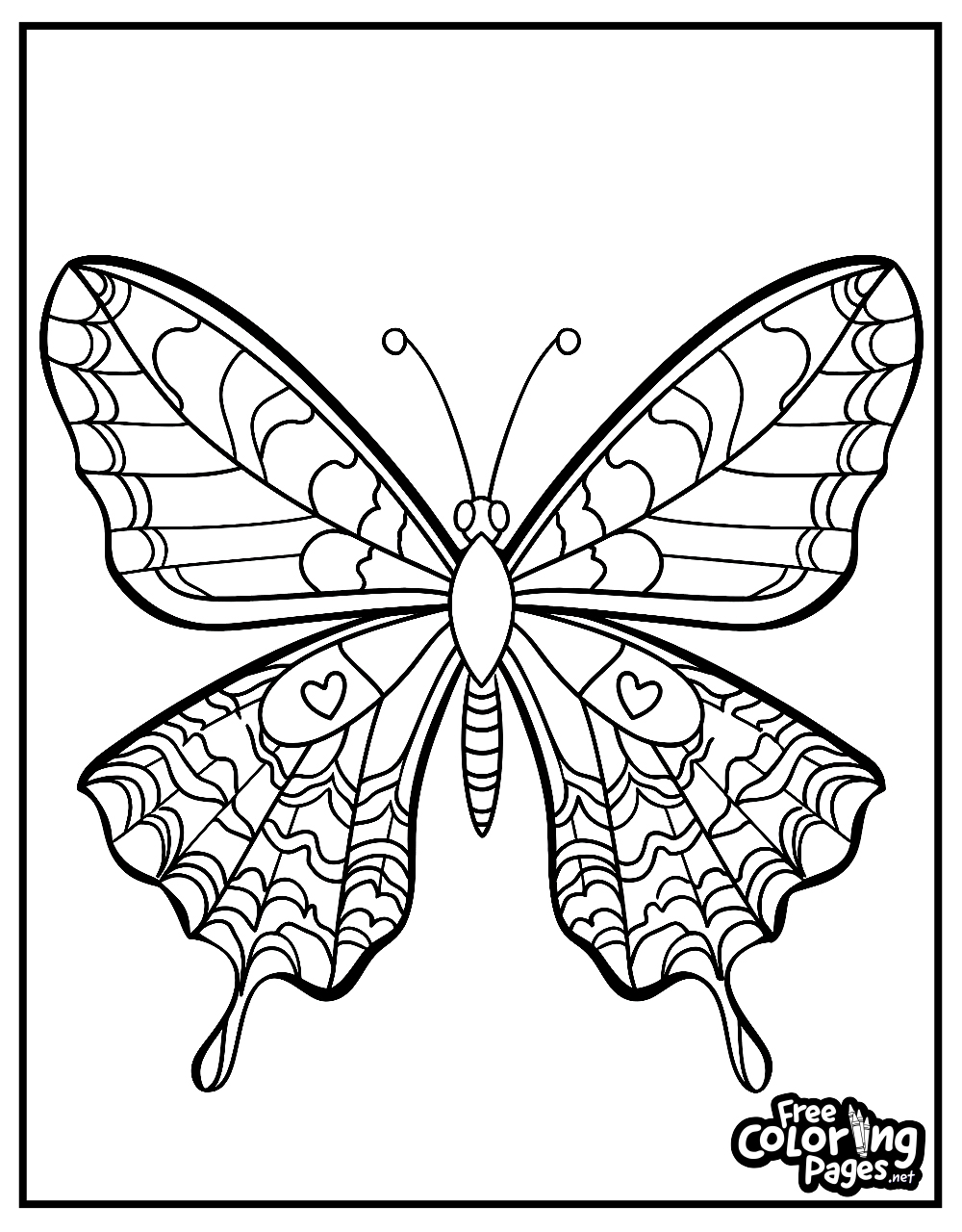 Butterfly adult coloring page with a butterfly in a dynamic pose and detailed wing patterns